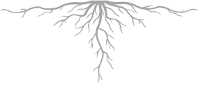 The roots of the tree represents mindset skills The roots of the tree represents mindset skills