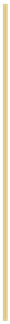 vertical bar gold